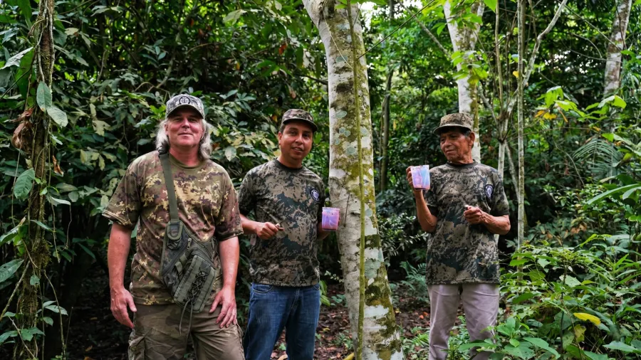 Dračia krv a jej účinky: Tekutý obväz a najsilnejšie prírodné antibiotikum?
