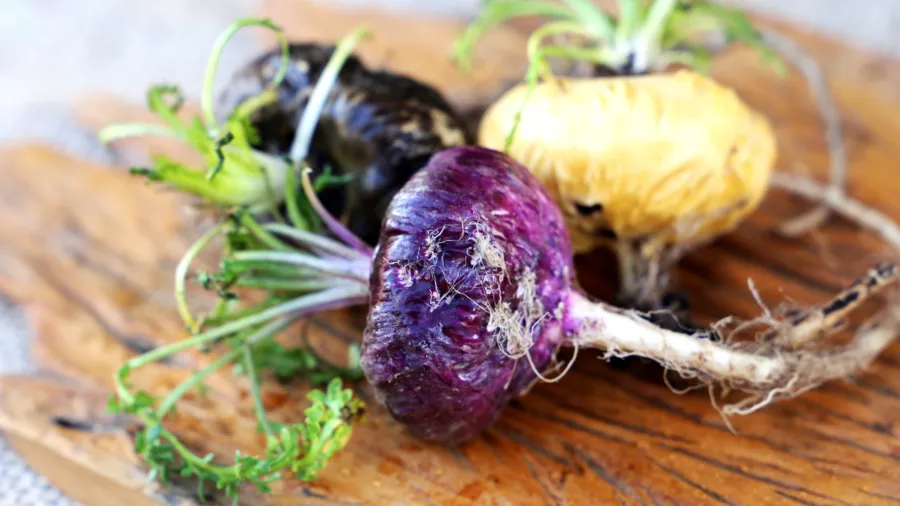 Maca peruánska a jej účinky: Veľký sprievodca účinkami, dávkovaním a vedeckými objavmi z Ánd