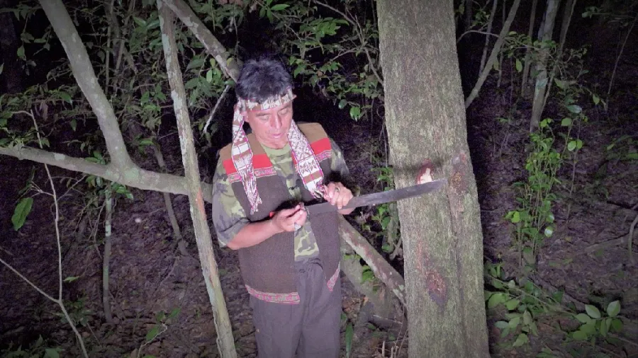 PCH a Don Sergio na nočnom zbere latexu zo stromu copaiba.