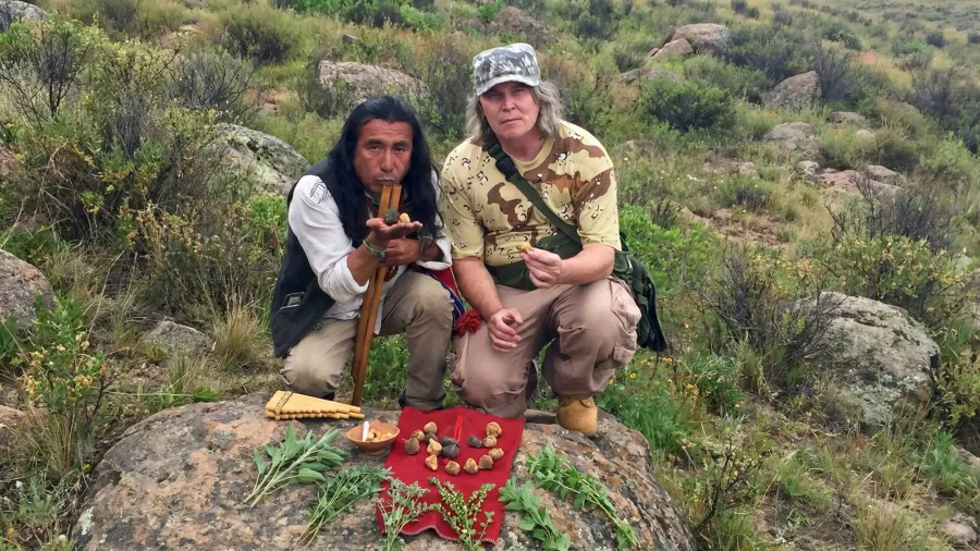 Maca peruánska a jej účinky: Veľký sprievodca účinkami, dávkovaním a vedeckými objavmi z Ánd