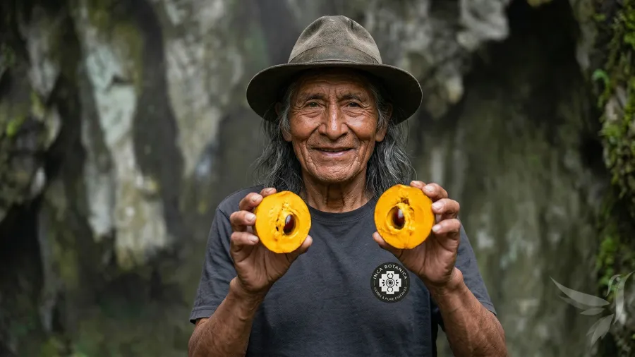 Lucuma prášok 250 g