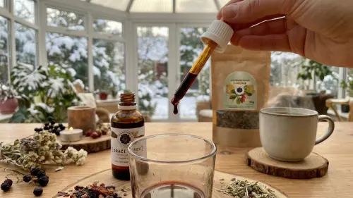 Trávenie v rovnováhe: Helikobakter pylori aj Crohnova choroba a ich liečba bylinkami