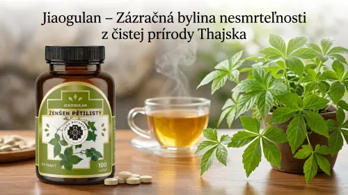 Jiaogulan (Gynostemma pentaphyllum) – Bylina nesmrteľnosti pod drobnohľadom médií