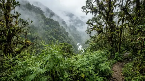Andské Marco: Prírodná cesta pre zdravý mozog, pevné nervy a bystrú myseľ 🌿✨