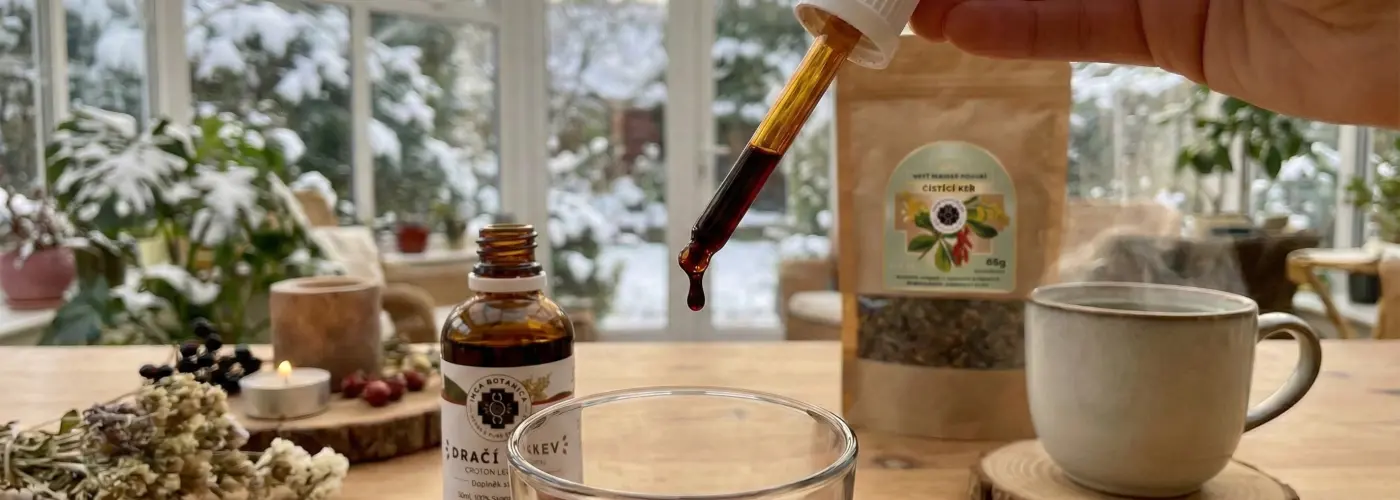 Trávenie v rovnováhe: Helikobakter pylori aj Crohnova choroba a ich liečba bylinkami