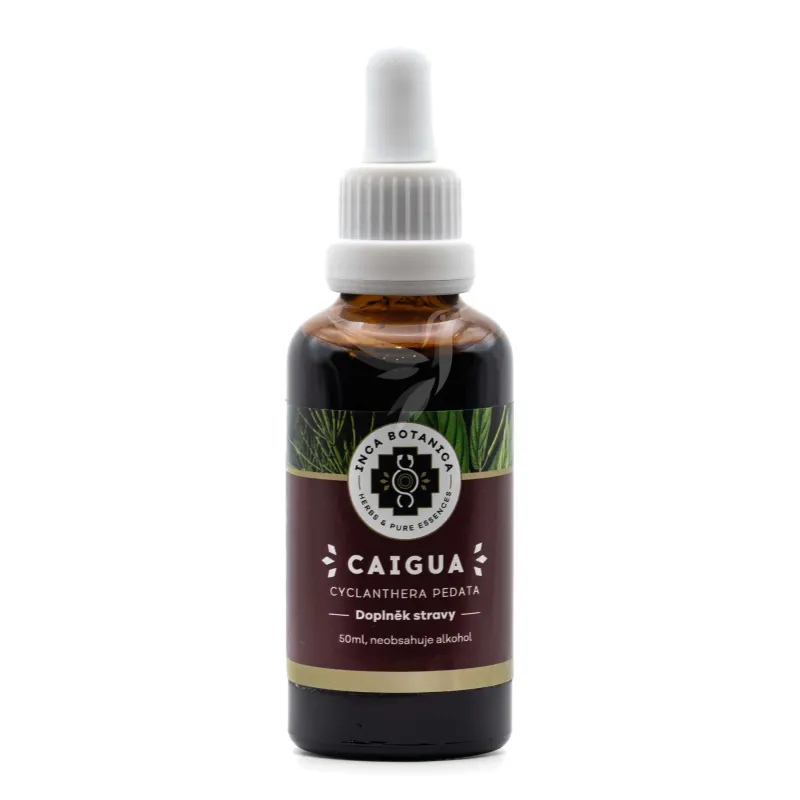 Caigua (ačokča) – vodný bylinný extrakt