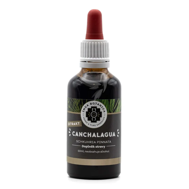 Canchalagua (kančalagua) - extrakt