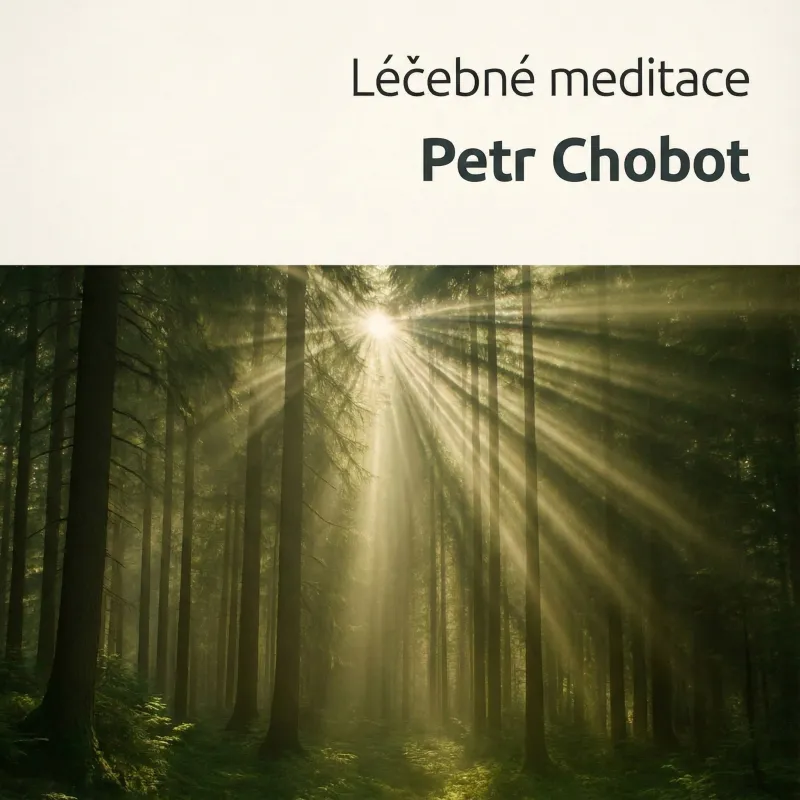 Léčebné meditace 2011 - na stiahnutie