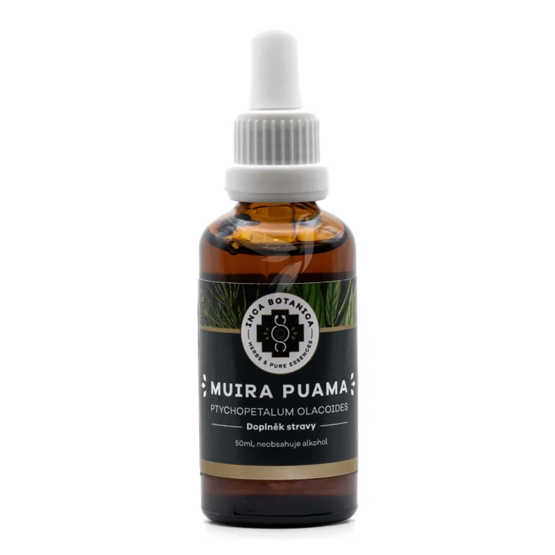Muira Puama – extrakt (Ptychopetalum olacoides)