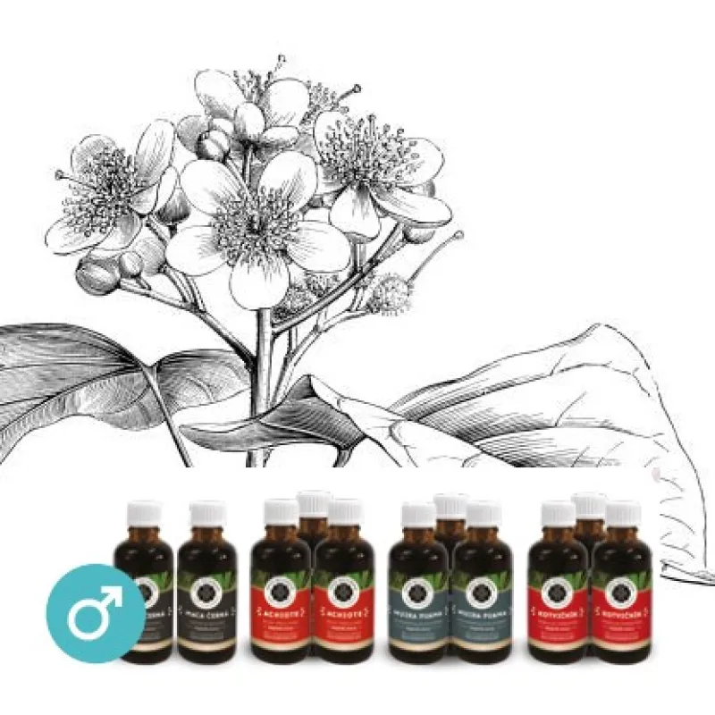 Potencia, libido (muži)