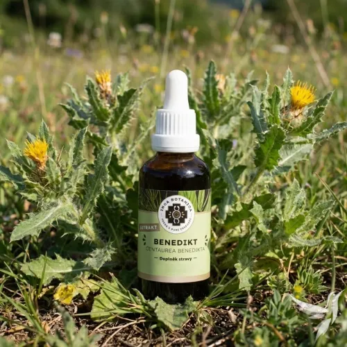 Benedikt – vodný bylinný extrakt