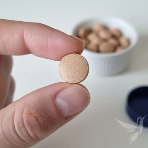 Chuchuhuasi tablety 100 ks - silný extrakt v tabletách