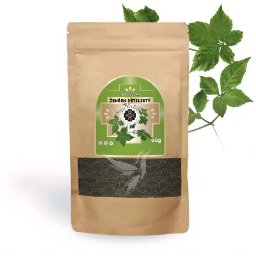 Ženšen päťlistý Jiaogulan (Gynostemma pentaphyllum) – bylinný čaj