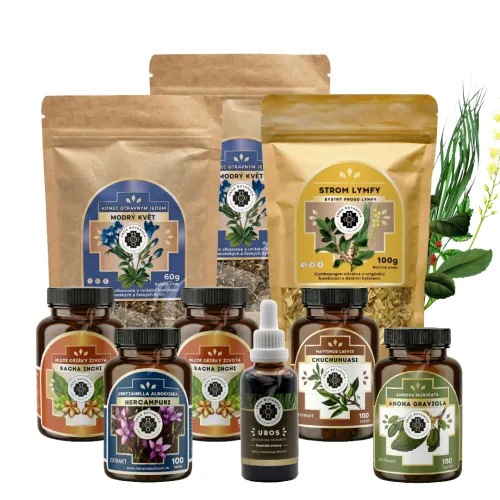 Bylinná kúra: Očista lymfy, hĺbková detoxikácia a celková regenerácia