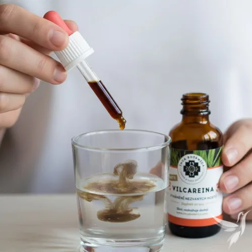 Vilcareina Forte - extrakt