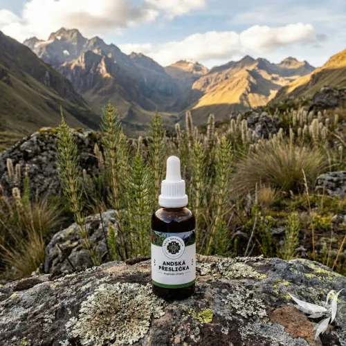 Andská praslička – vodný extrakt „Prirodzená silueta“