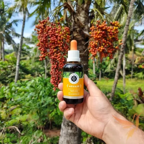 Aguaje (aguache) - extrakt