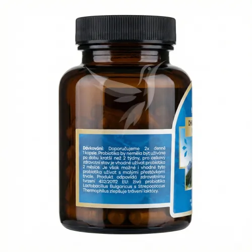 Lactobacillus bulgaricus s lucumou