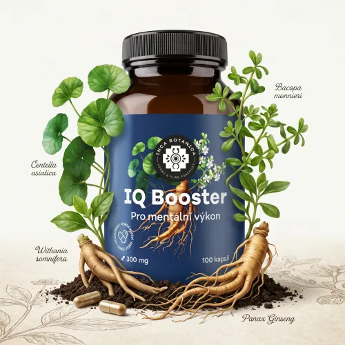 IQ Booster