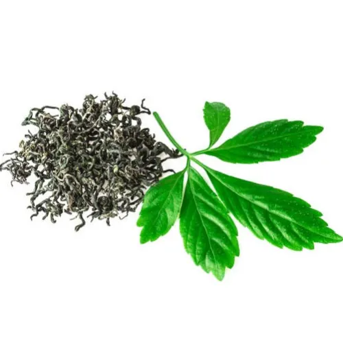 Ženšen päťlistý Jiaogulan (Gynostemma pentaphyllum) – bylinný čaj