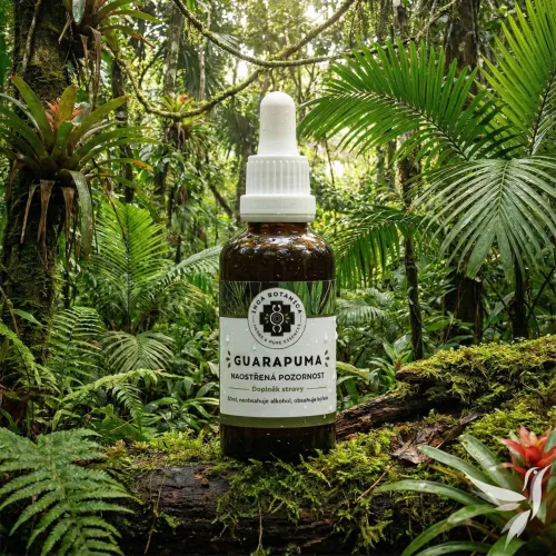 Guarapuma - extrakt