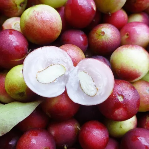 Camu Camu kapsuly - 100 kapsúl