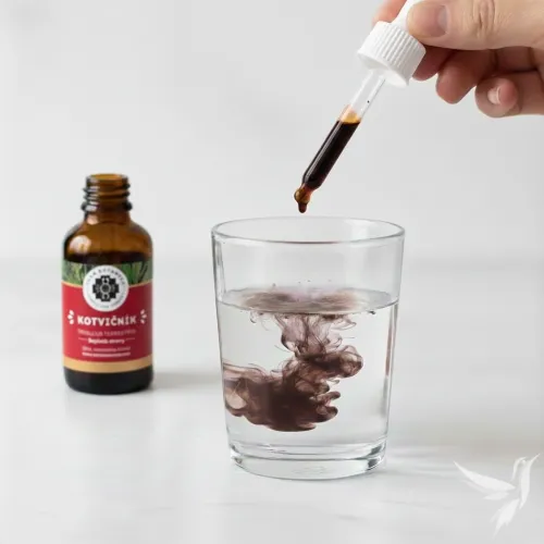 Kotvičník Zemný – vodný extrakt (Tribulus terrestris)