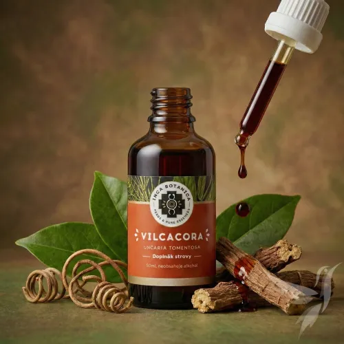 Vilcacora extrakt – mačací pazúr (Uncaria tomentosa)