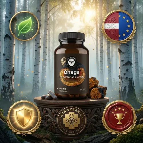 Chaga v kapsuliach – Čierna perla z Lotyšska (Ryšavec šikmý)