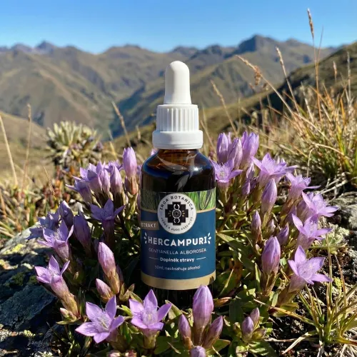 Hercampuri extrakt | Horká bylina z peruánskych Ánd