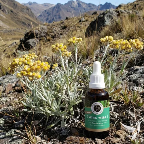 Wira-Wira – vodný bylinný extrakt