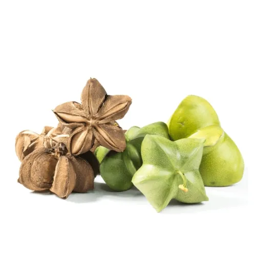 Olej z orieškov Sacha Inchi