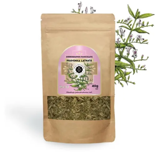 Právenka Latnatá - sušená bylina