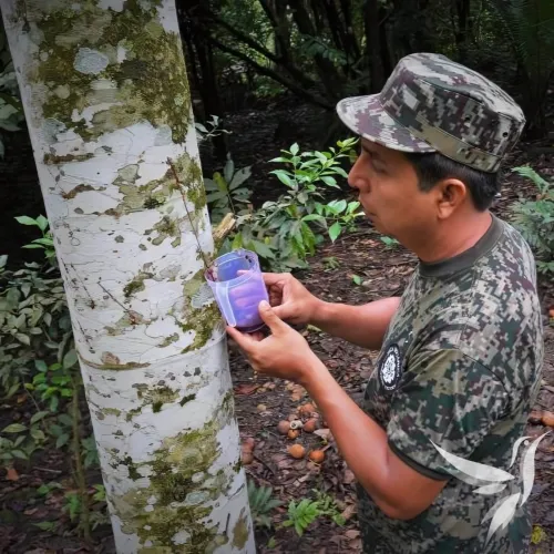 Dračia krv 25ml kvapky (Sangre de Drago)