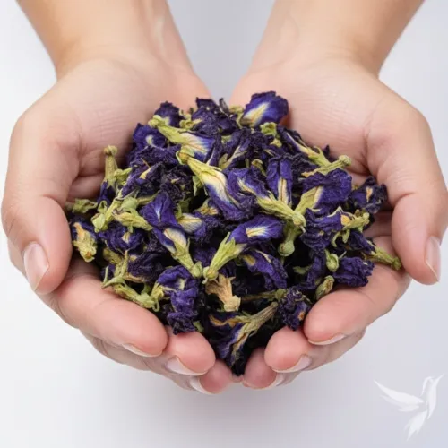 Motýlí kvet extrakt – Clitoria Ternatea