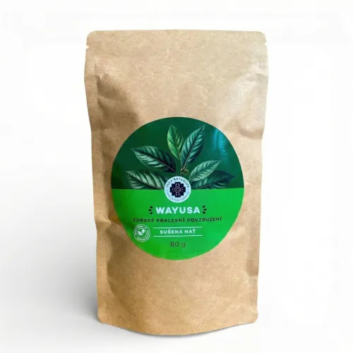 Wayusa (Guayusa) – Zdravé povzbuzenie z amazonského pralesa
