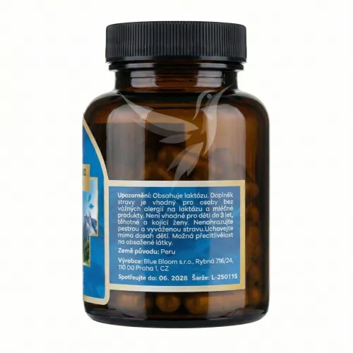 Lactobacillus bulgaricus s lucumou