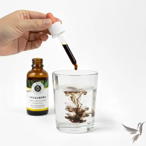 Chagubona (čagubona) - extrakt