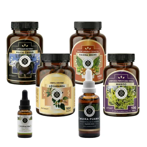 Inca Botanica komplexná bylinná kúra – Pamäť, koncentrácia a vitalita (1 mesiac)