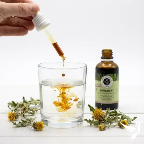 Benedikt – vodný bylinný extrakt