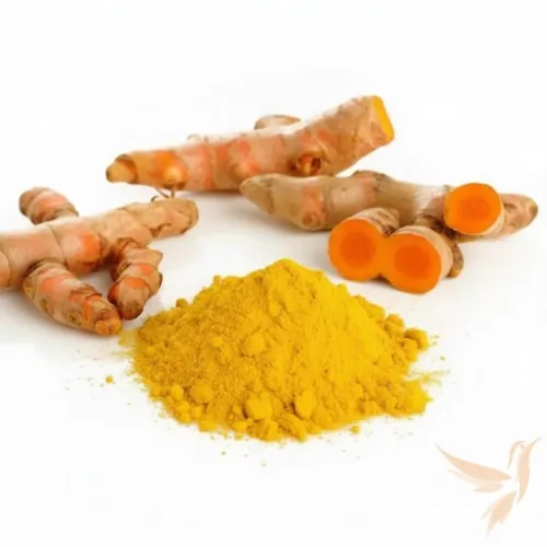 Kurkuma mletá 111g
