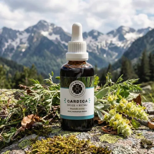 Cardica - extrakt