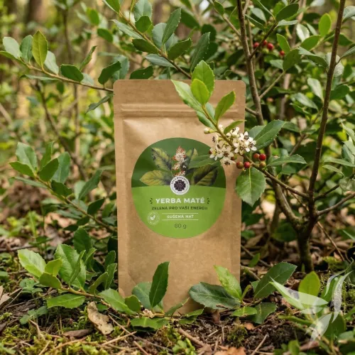 Yerba Maté – Sušená bylina (80g)