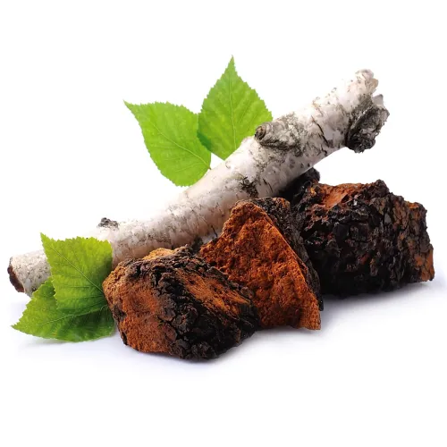 Čaga sibírska (Chaga) – vodný extrakt