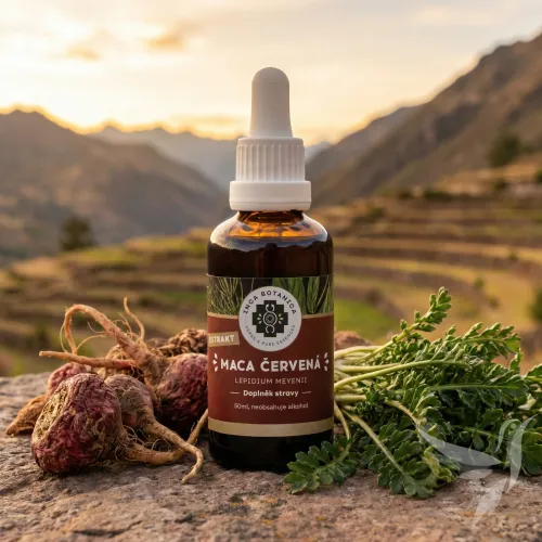 Maca červená extrakt (pre zdravie ženy)