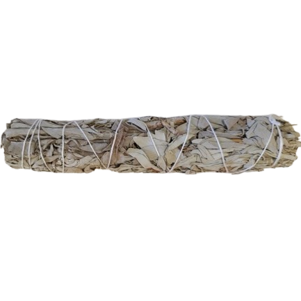 Šalvia biela – antorcha 100 g | Očistné vydymovadlo