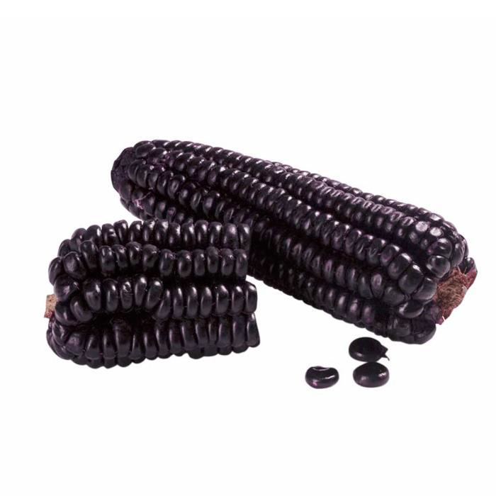 Fialová kukurica - prášok (Maiz morado)
