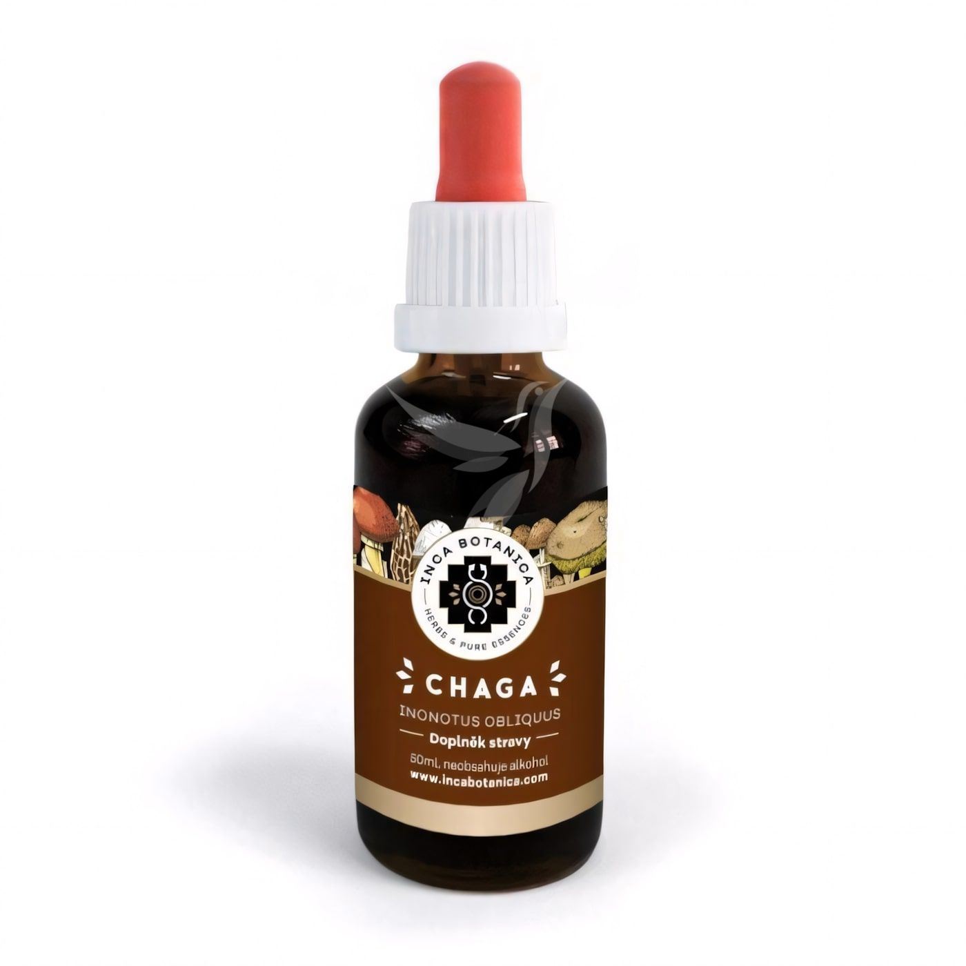 Čaga sibírska (Chaga) – vodný extrakt – 50ml