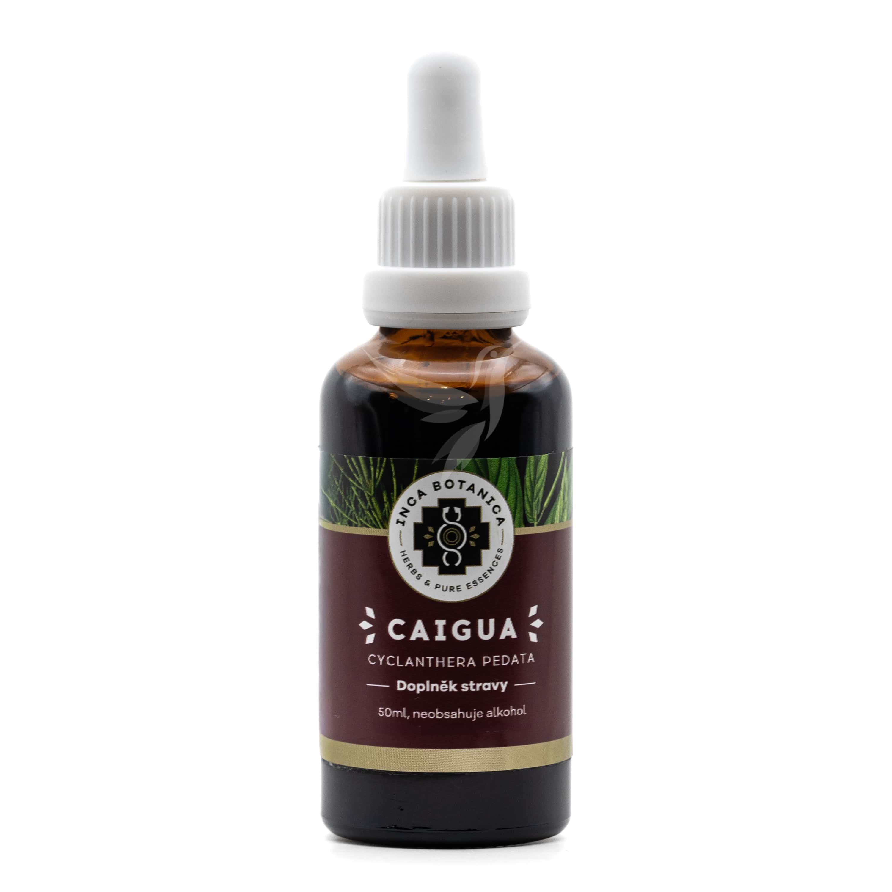 Caigua (ačokča) – vodný bylinný extrakt