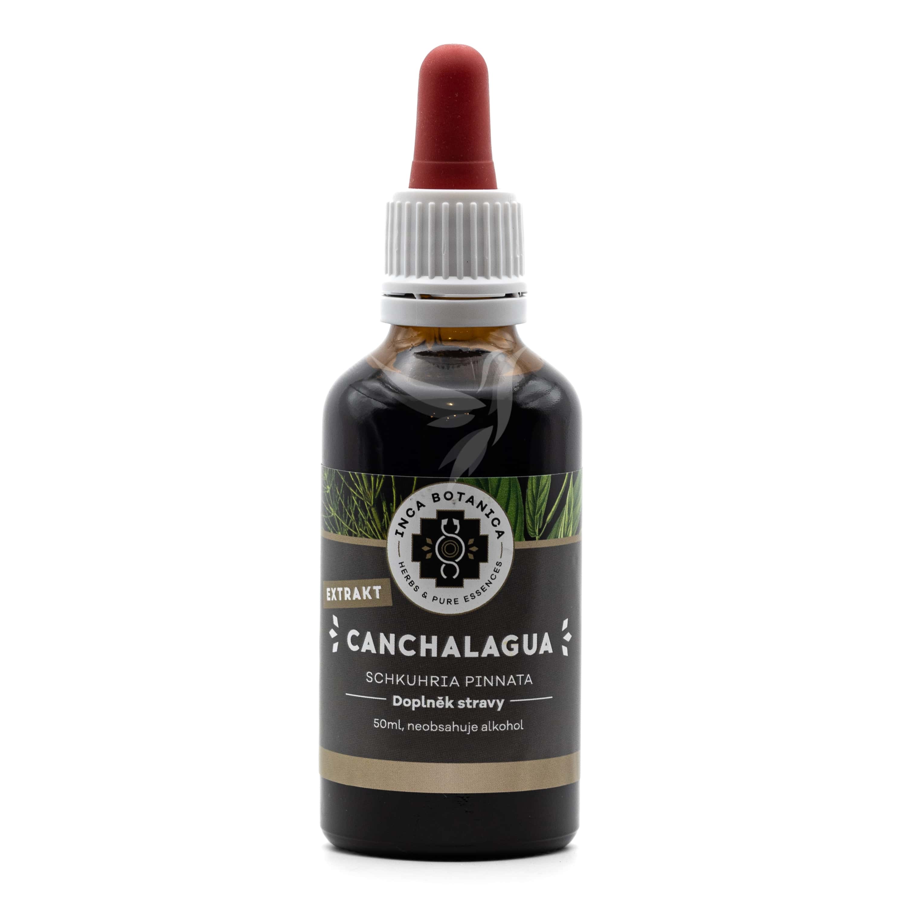 Canchalagua (kančalagua) - extrakt